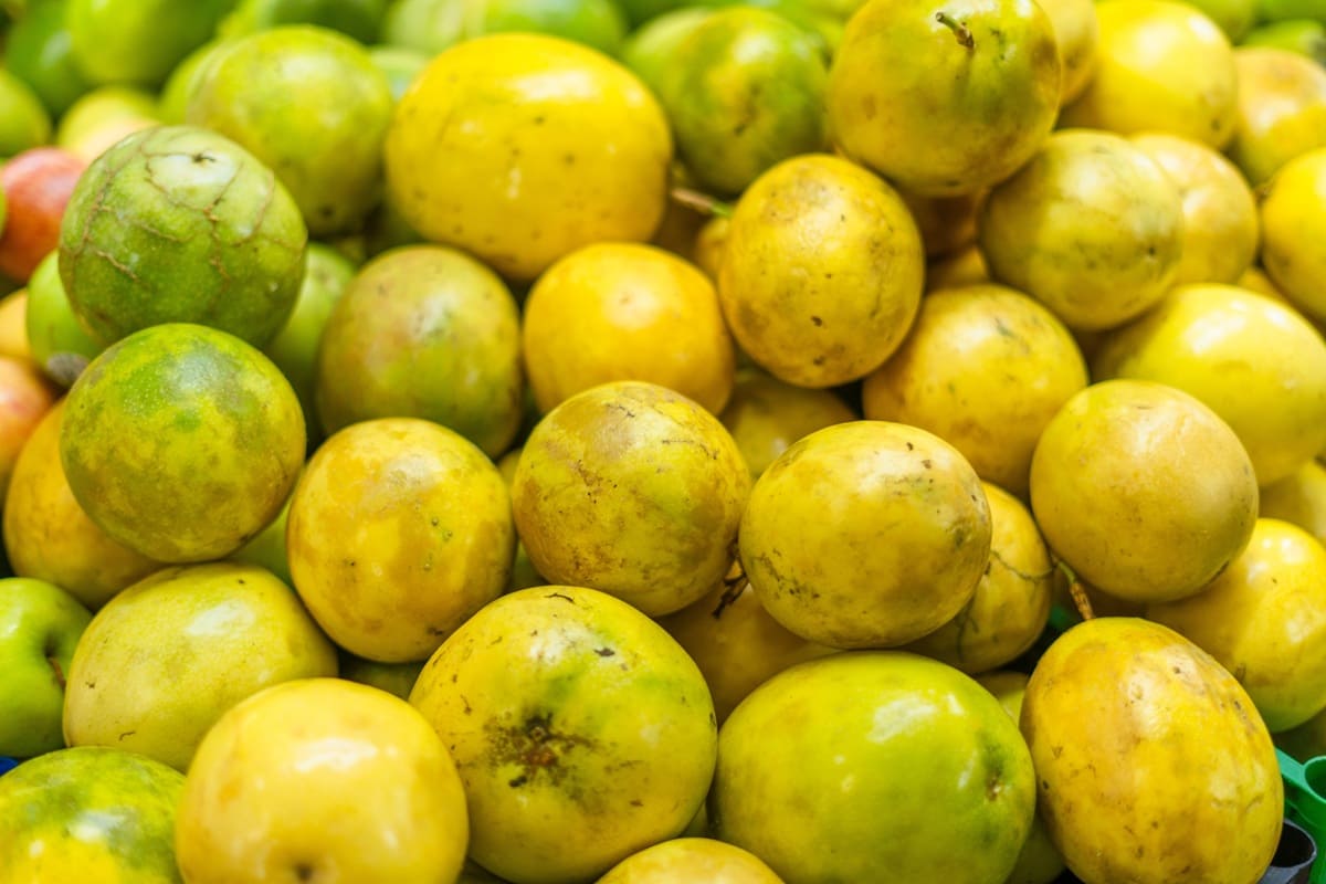 Maracuya 05