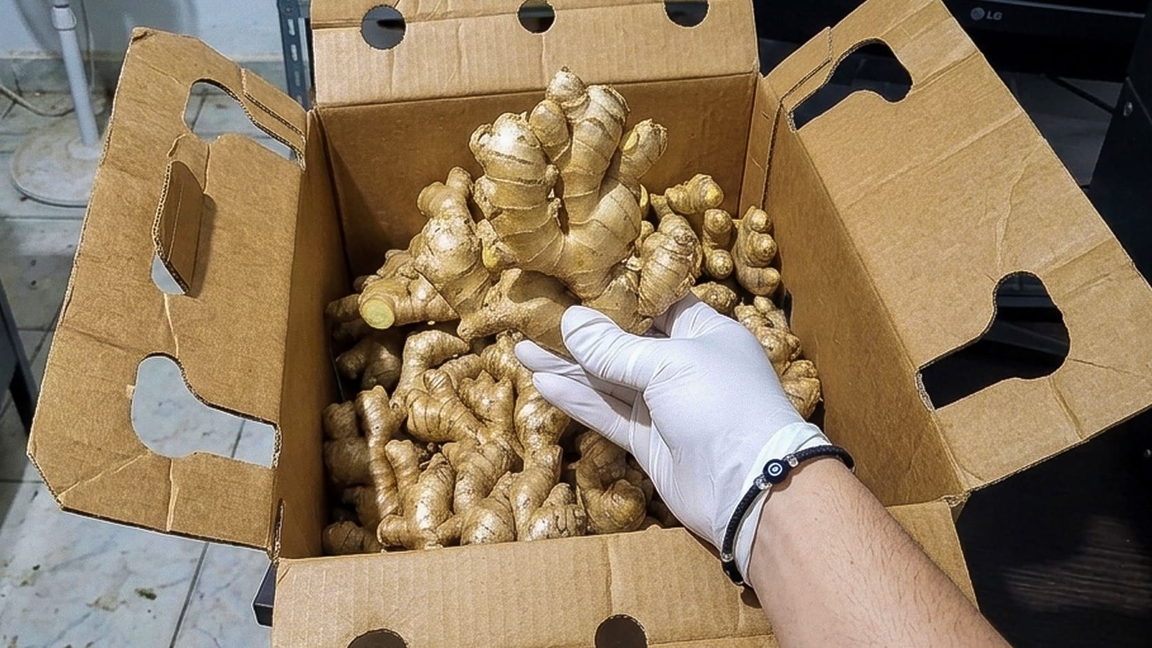 Sumaq - Jengibre exportación en Cajas
