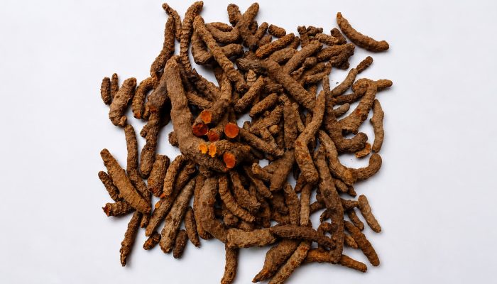 Curcuma 01